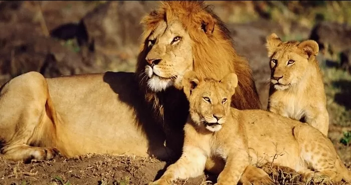 Photo of Somnath by BUSINESS BITES