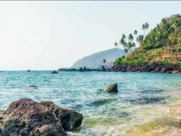 Photo of South Goa by BUSINESS BITES