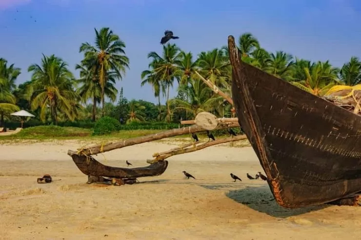 Photo of South Goa by BUSINESS BITES