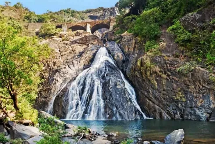 Photo of South Goa by BUSINESS BITES