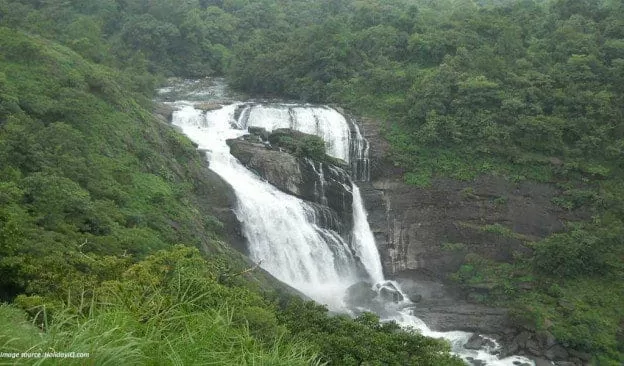 Photo of Coorg by BUSINESS BITES