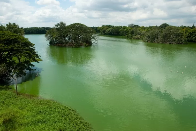 Photo of Mysore by BUSINESS BITES