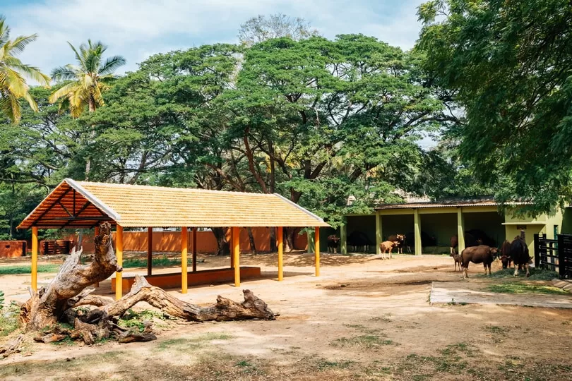 Photo of Mysore by BUSINESS BITES