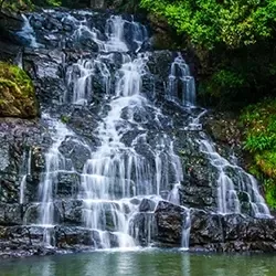 Photo of Megalaya by BUSINESS BITES