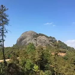 Photo of Megalaya by BUSINESS BITES