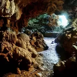 Photo of Megalaya by BUSINESS BITES