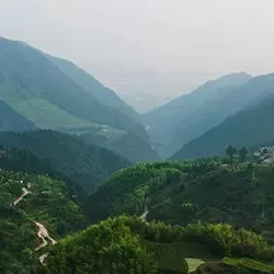 Photo of Megalaya by BUSINESS BITES