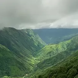 Photo of Megalaya by BUSINESS BITES