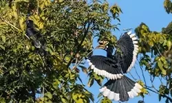 Photo of Haridwar by BUSINESS BITES