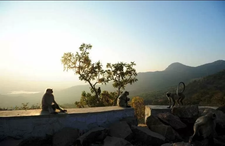 Photo of Mount Abu by BUSINESS BITES