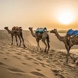 Photo of Jaisalmer by BUSINESS BITES