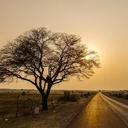 Photo of Jaisalmer by BUSINESS BITES