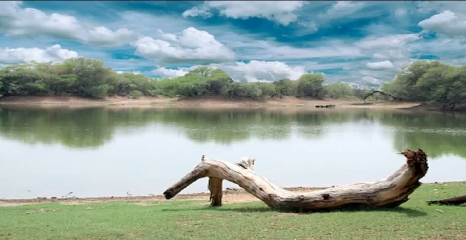 Photo of Bikaner by BUSINESS BITES