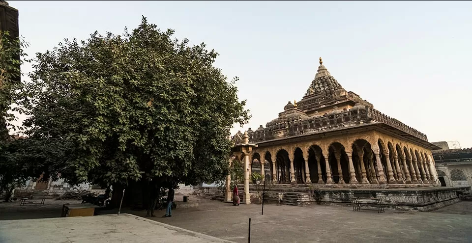 Photo of Jodhpur by BUSINESS BITES