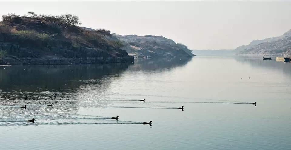 Photo of Jodhpur by BUSINESS BITES