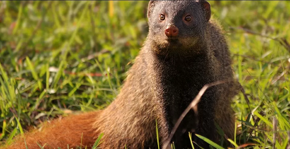 Photo of Jodhpur by BUSINESS BITES
