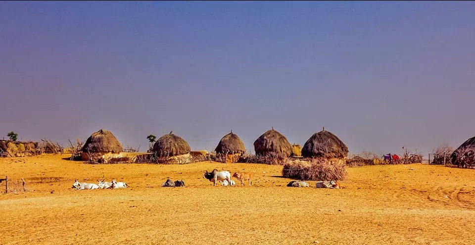 Photo of Jodhpur by BUSINESS BITES