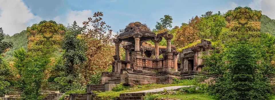 Photo of Polo Forest by BUSINESS BITES