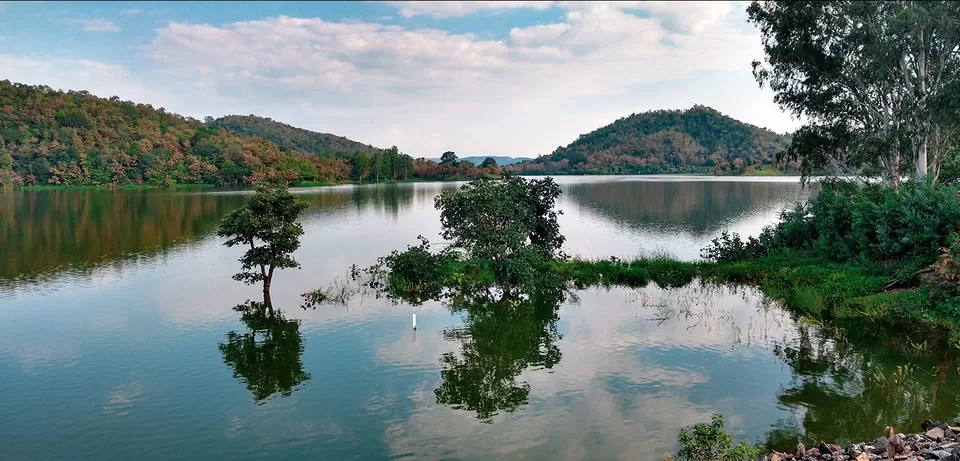 Photo of Polo Forest by BUSINESS BITES