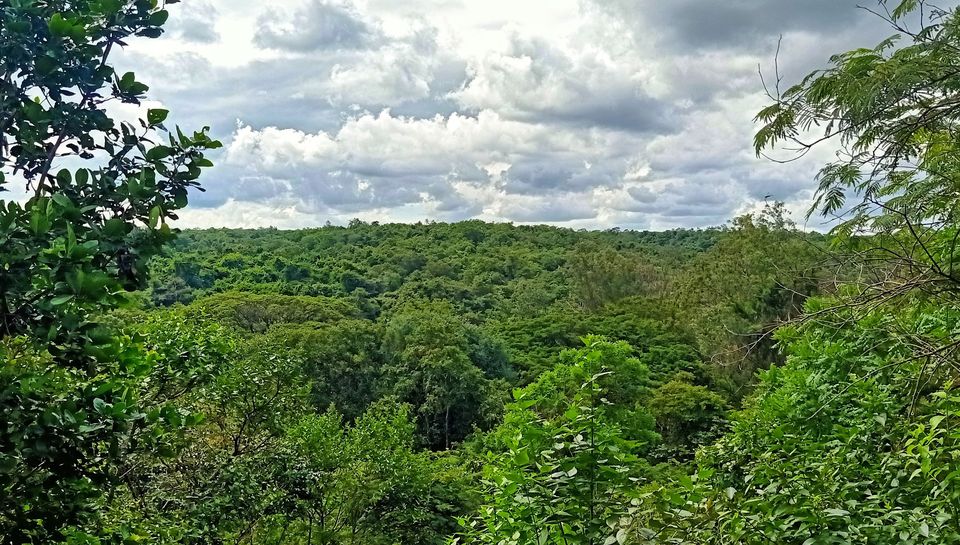Photo of Anantagiri Hills: A bike expedition by Rachit Agrawal