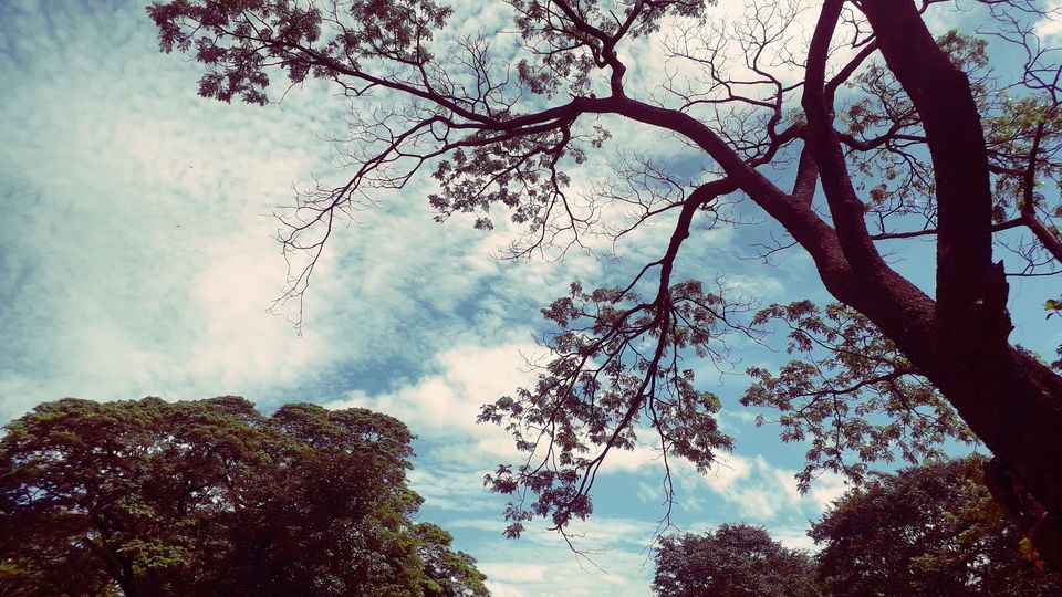 Photo of Anantagiri Hills: A bike expedition by Rachit Agrawal