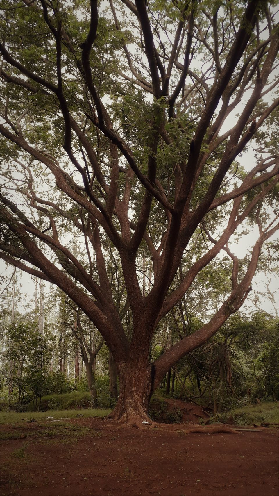 Photo of Anantagiri Hills: A bike expedition by Rachit Agrawal