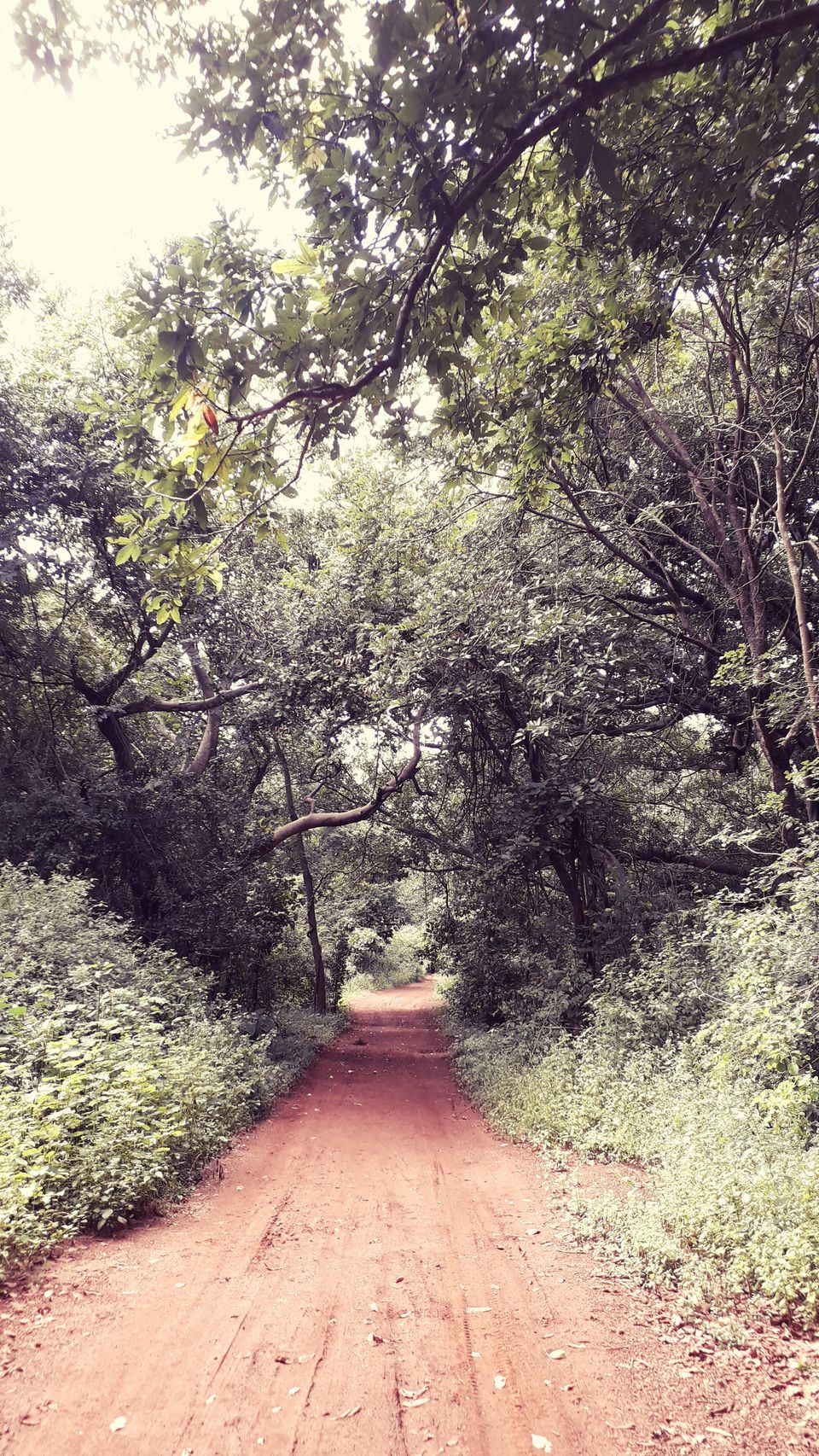 Photo of Anantagiri Hills: A bike expedition by Rachit Agrawal