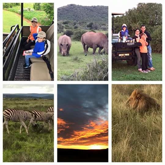 Photo of South Africa: Cape to Cape self drive family vacation 1/37 by nikhil