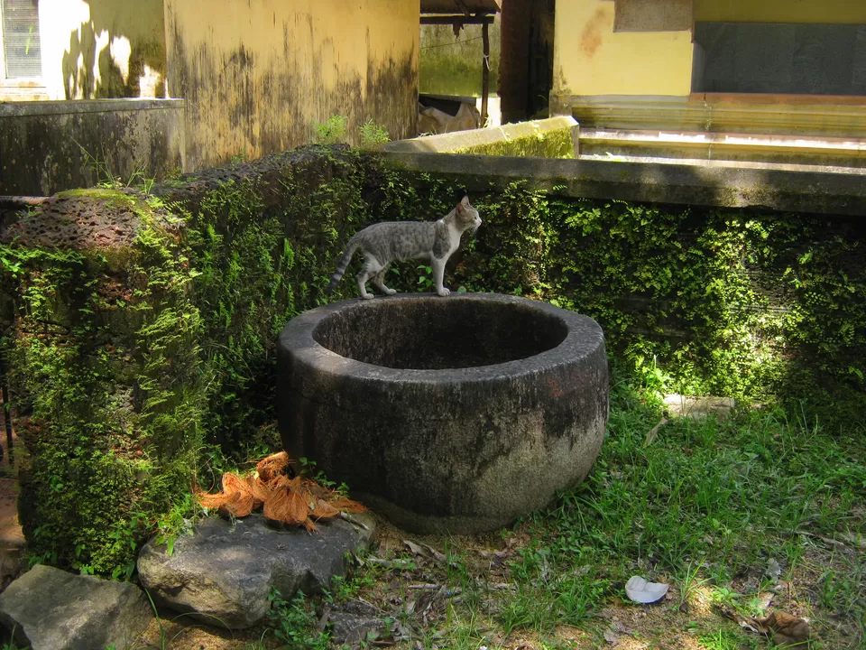 Photo of Moodbidri, Moodbidri, Karnataka, India by Anand V