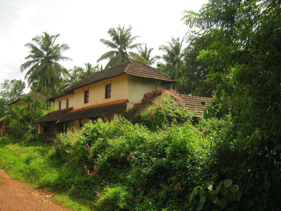 Photo of Thirthankaras' Tulunaad 19/20 by Anand V