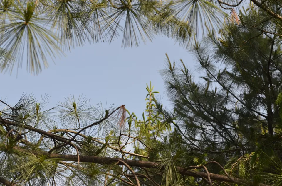 Photo of Kharapathar, Himachal Pradesh, India by Beyond the Horizon: HIMALAYAS