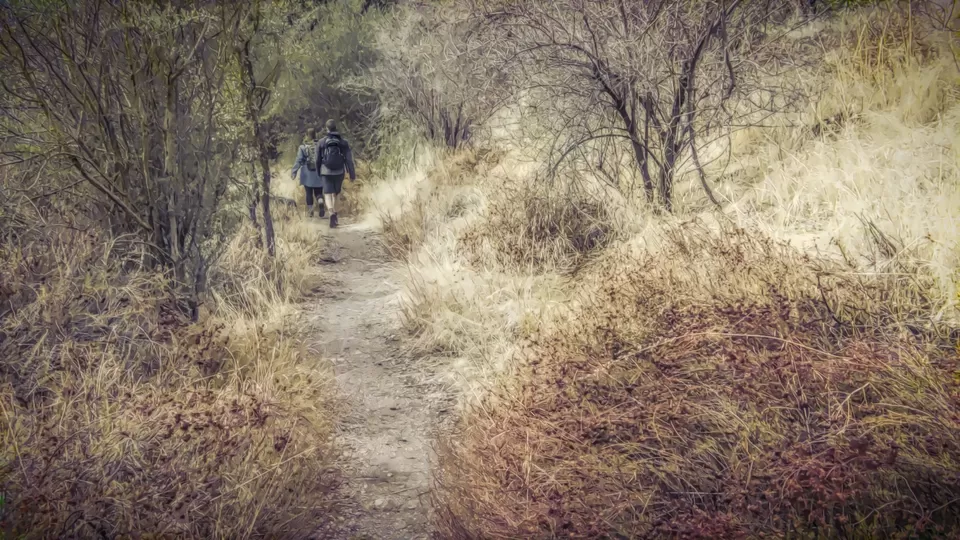 Photo of Pinnacles National Park, California, USA by Stephen Lee