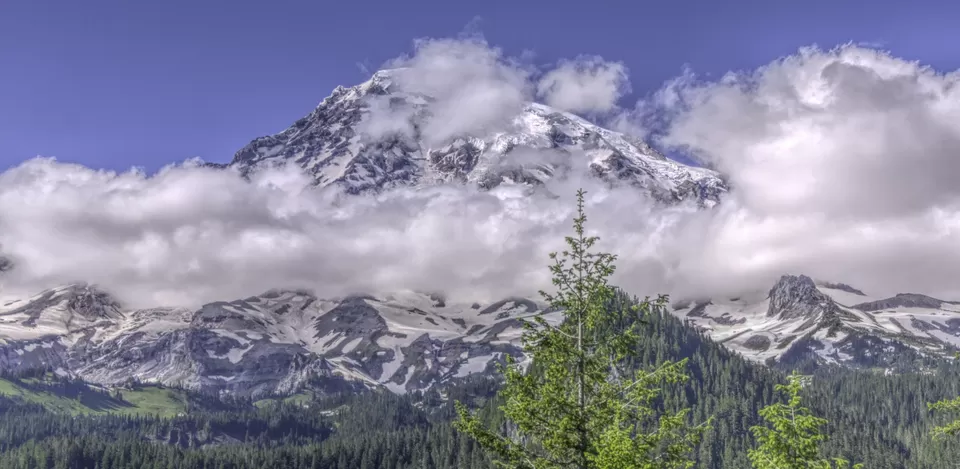 Photo of Mt Rainier National Park, Washington, USA by Stephen Lee