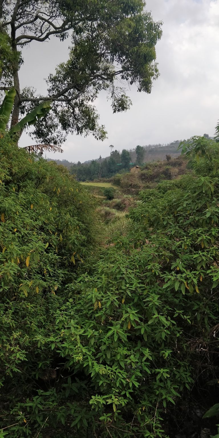 Photo of A trip to happy paradise by Akhil Raj