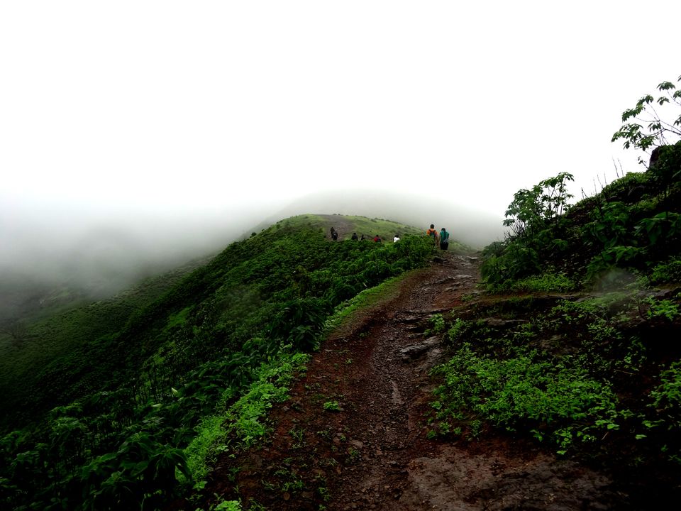Photo of Torna Fort 19-07-2014 by Rakesh Nahak
