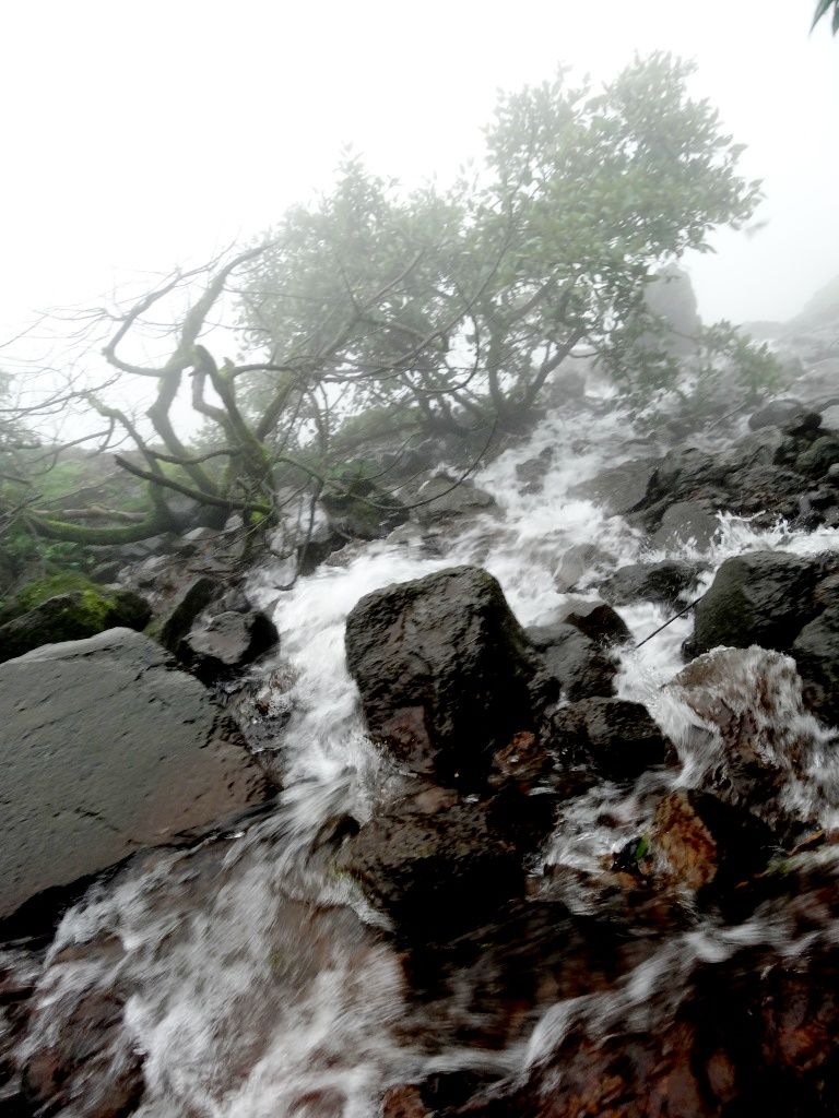 Photo of Torna Fort 19-07-2014 by Rakesh Nahak