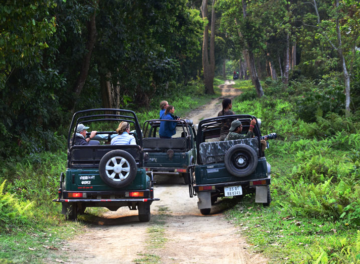 Photo of How To Travel to Manas National Park 1/1 by Thrillious