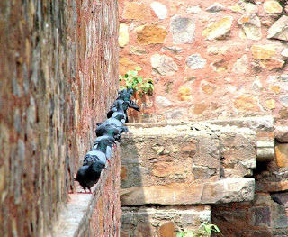 Photo of As I stood still venturing myself 5/7 by Nidhima Taneja