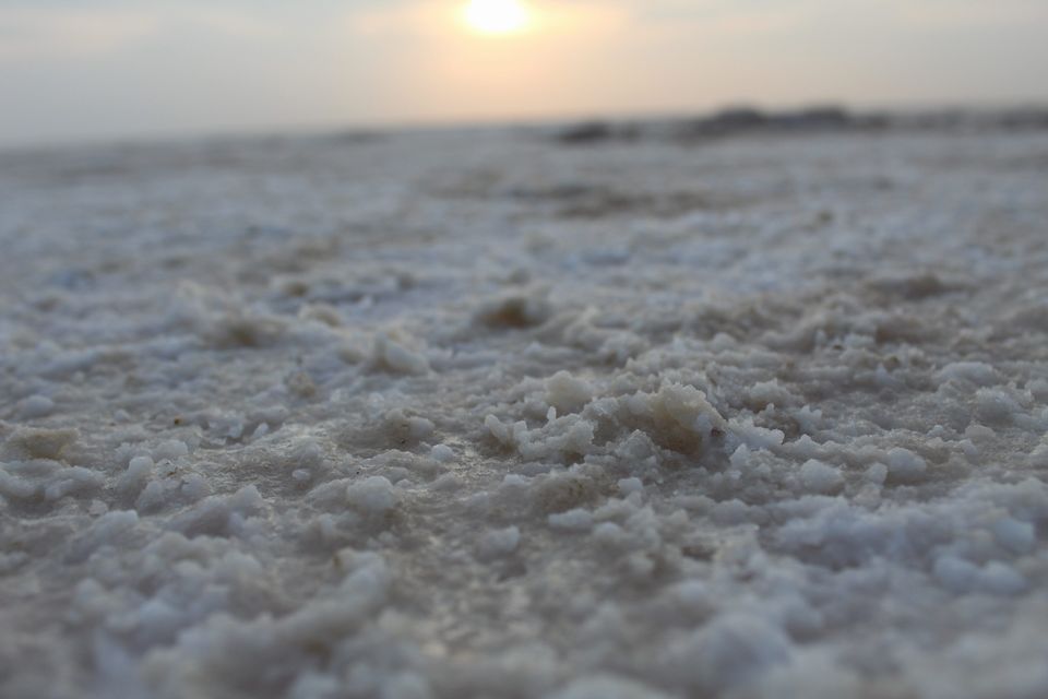 Photo of Rann of Kutch, Gujarat by Bhagyasrre Manoj Kumar