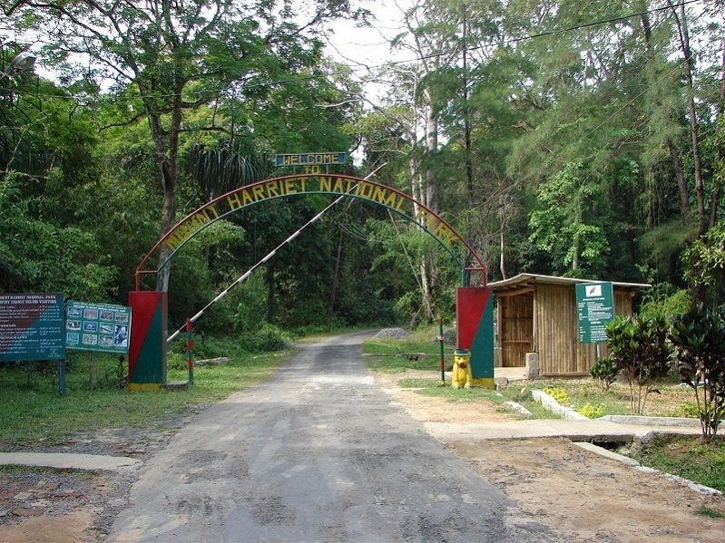 Photo of 9 Intriguing Things Nobody had Told You about Mount Harriet National Park in Andaman 2/4 by Ariees Grand
