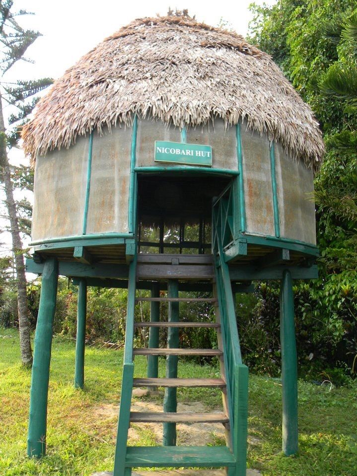 Photo of 9 Intriguing Things Nobody had Told You about Mount Harriet National Park in Andaman 3/4 by Ariees Grand