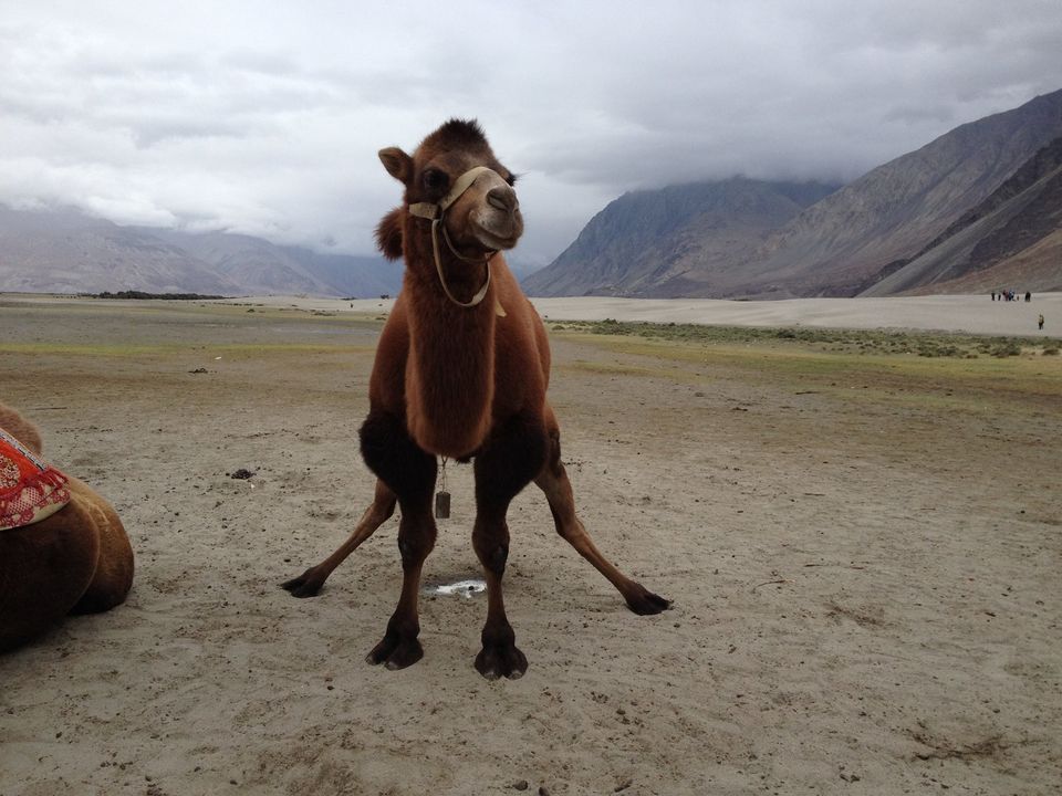 Photo of 11 Unforgettable Memories of Ladakh 11/17 by Hrutika