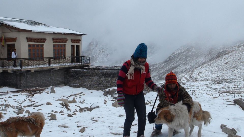 Photo of 11 Unforgettable Memories of Ladakh 1/17 by Hrutika