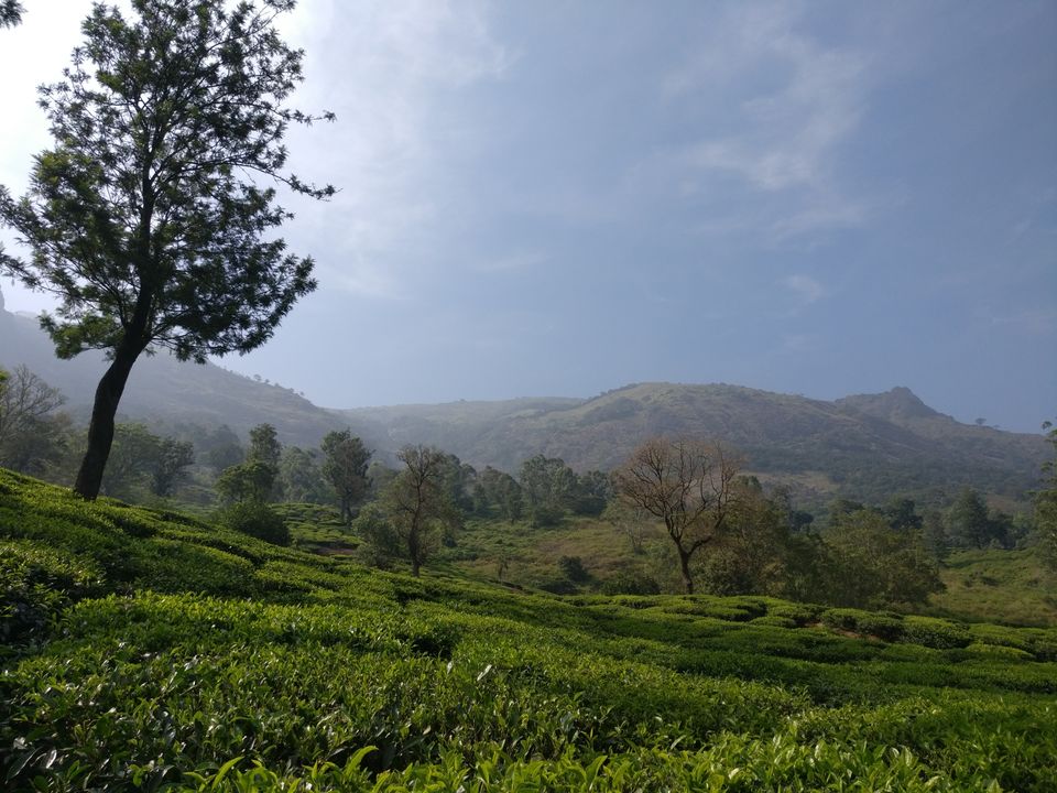 Photo of Anamalai Tiger Reserve Entry Checkpost, State Highway 78, Tamil Nadu, India by Arshad Irfan