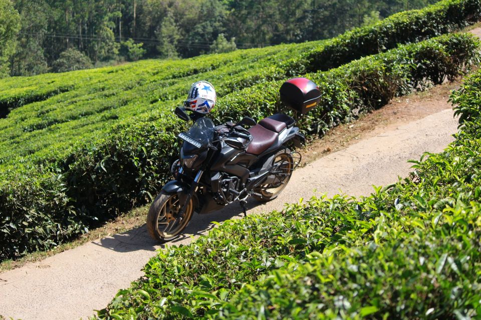 Photo of Munnar, Kerala, India by Arshad Irfan
