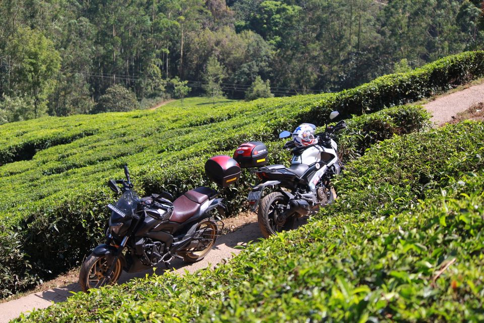 Photo of Munnar, Kerala, India by Arshad Irfan