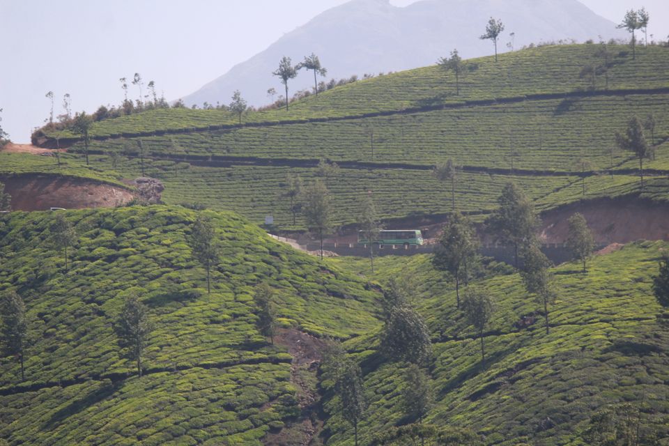 Photo of Munnar, Kerala, India by Arshad Irfan