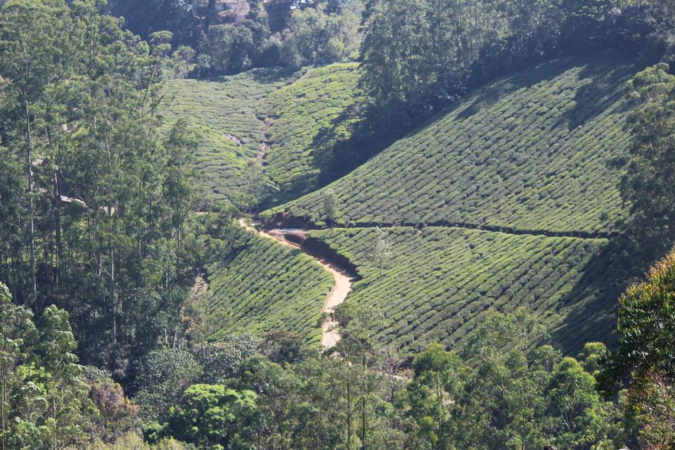 Photo of Munnar, Kerala, India by Arshad Irfan
