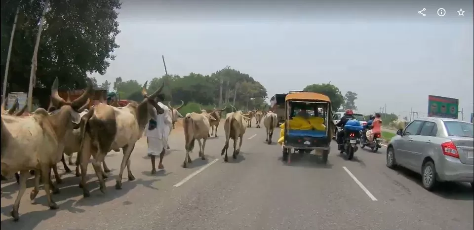 Photo of Chandigarh, India by Arshad Irfan