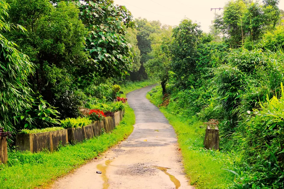 Photo of Cherapunjee, Meghalaya by Priyanka Gupta